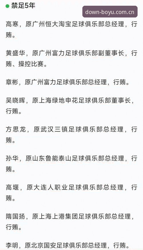博鱼APP安装步骤 中国足协第三批禁足名单全面评测:65人受罚背后的行业警示与观赛体验反思