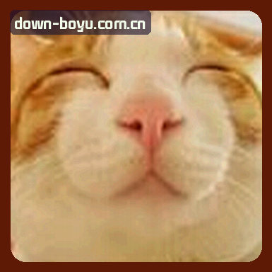 郑浩